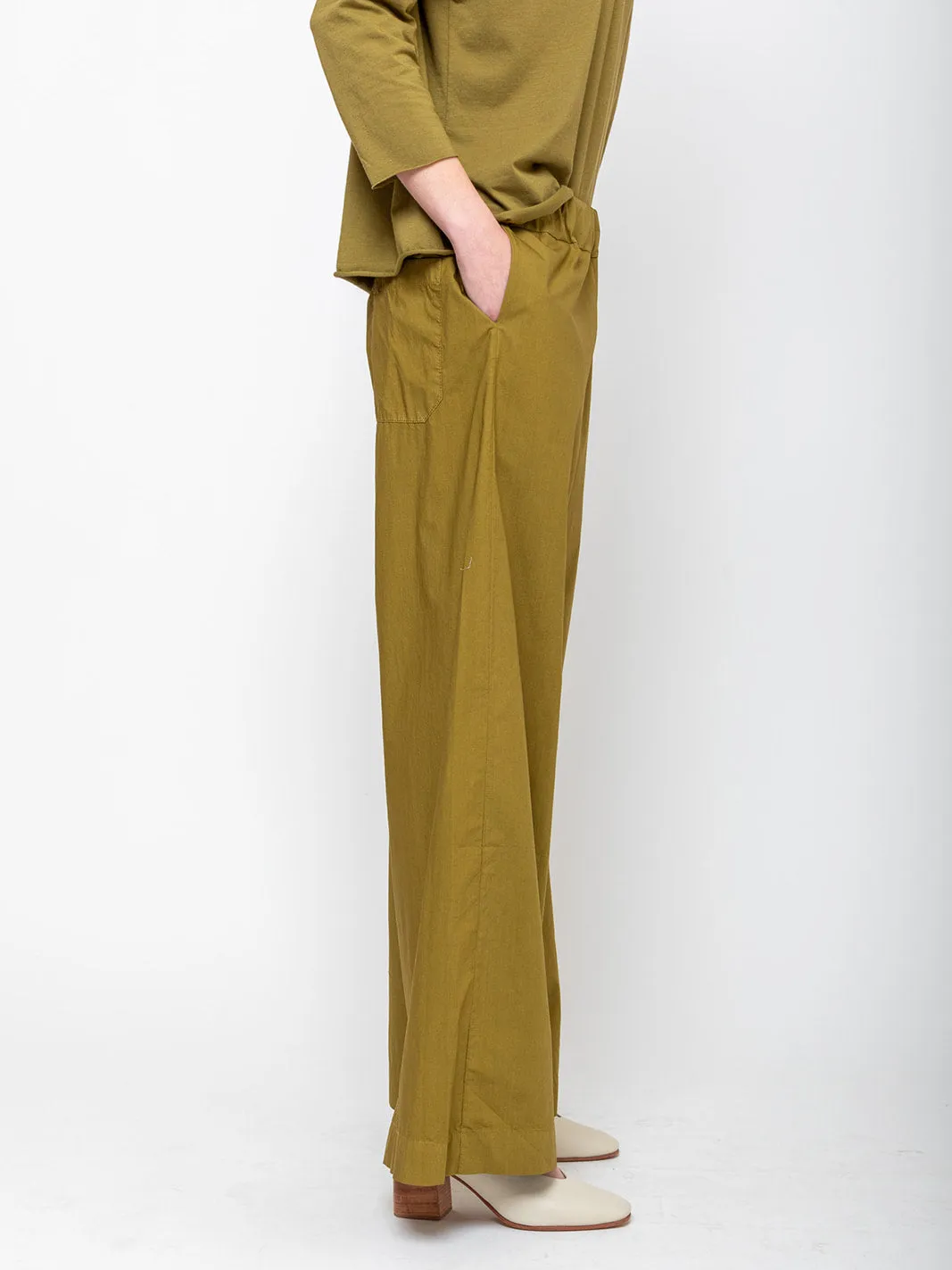 Panta Diana - Cricket