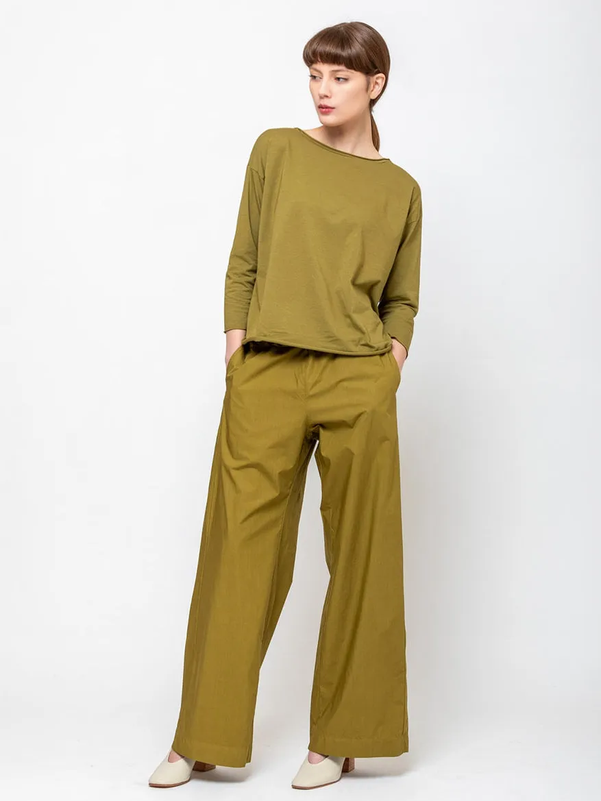 Panta Diana - Cricket