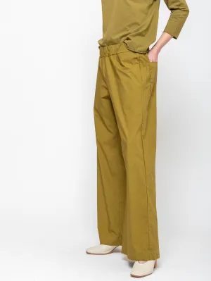 Panta Diana - Cricket