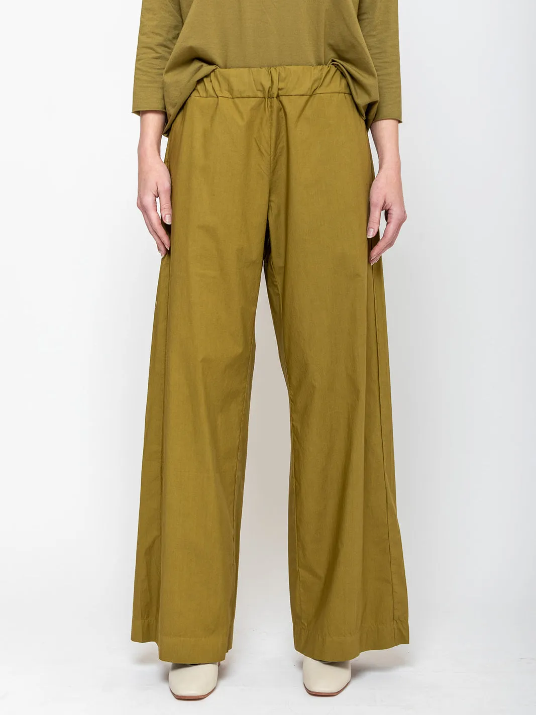 Panta Diana - Cricket