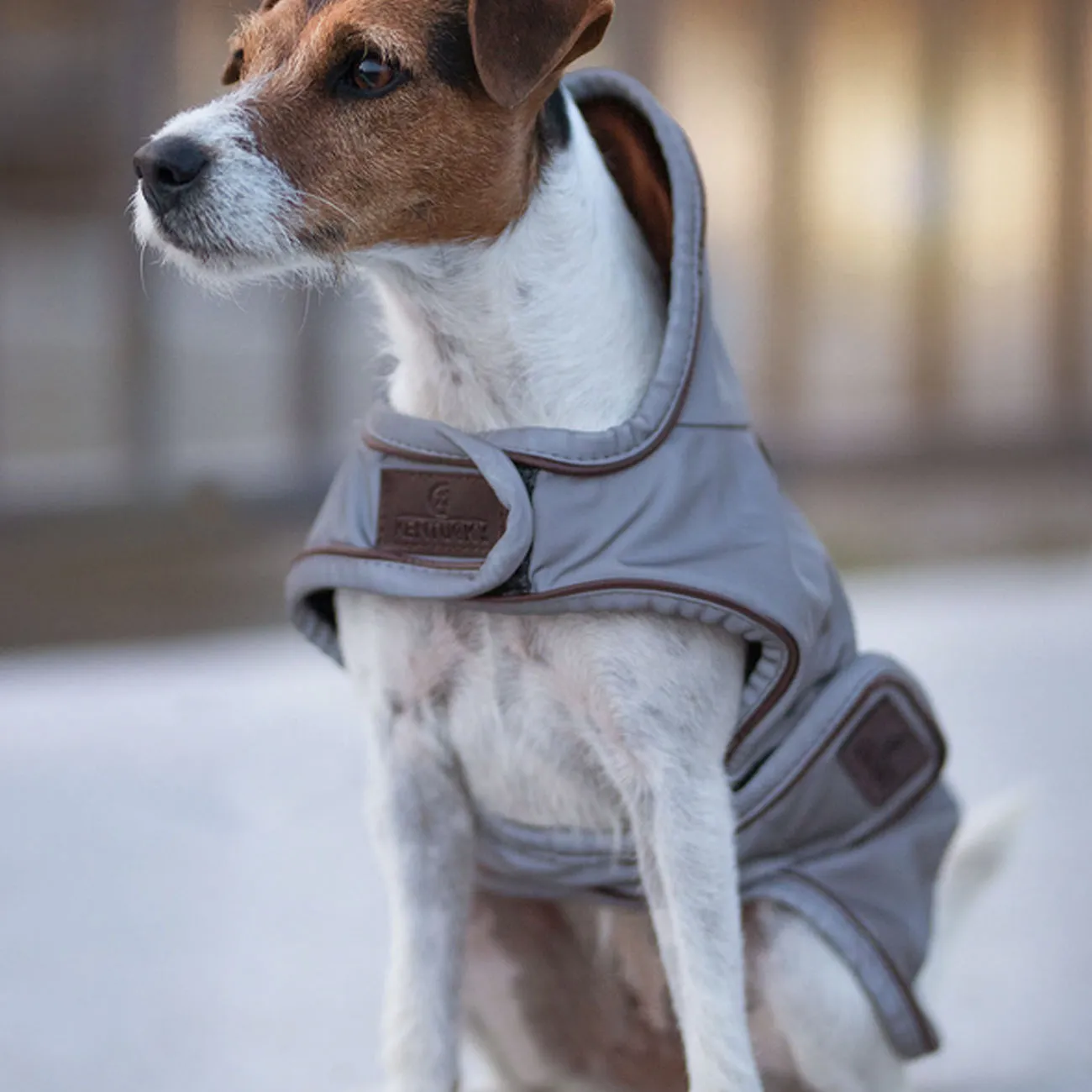 REFLECTIVE AND WATER-REPELLENT COAT FOR DOGS