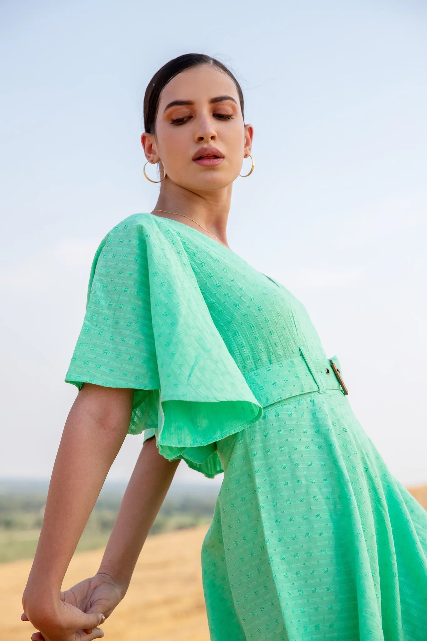 Susan Flared Dress