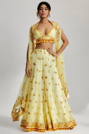 Swanica Cape Set  With Flared Pants